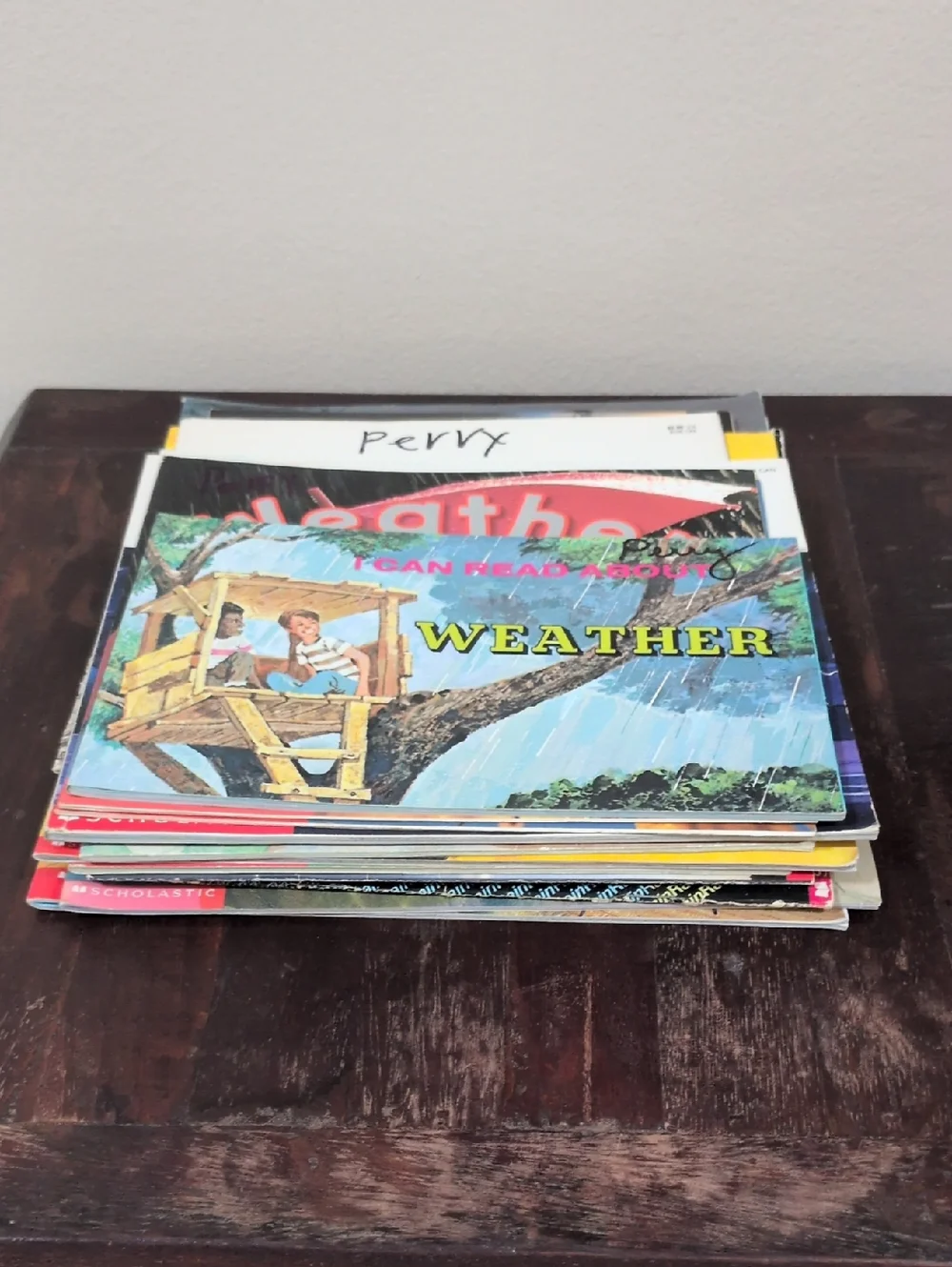 Scholastic Paperback Book Set of 12 Weather Themed Used Books